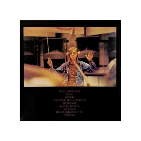 Judee Sill - Heart Food (Analogue) (0707129301413) виниловая пластинка - фото 3