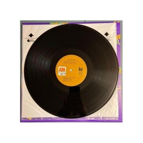 Peter Frampton - Frampton's Camel (Analogue) (0680270758070) виниловая пластинка - фото 5