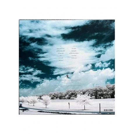 Виниловая пластинка The Pineapple Thief - Little Man (0802644814919) - фото 2