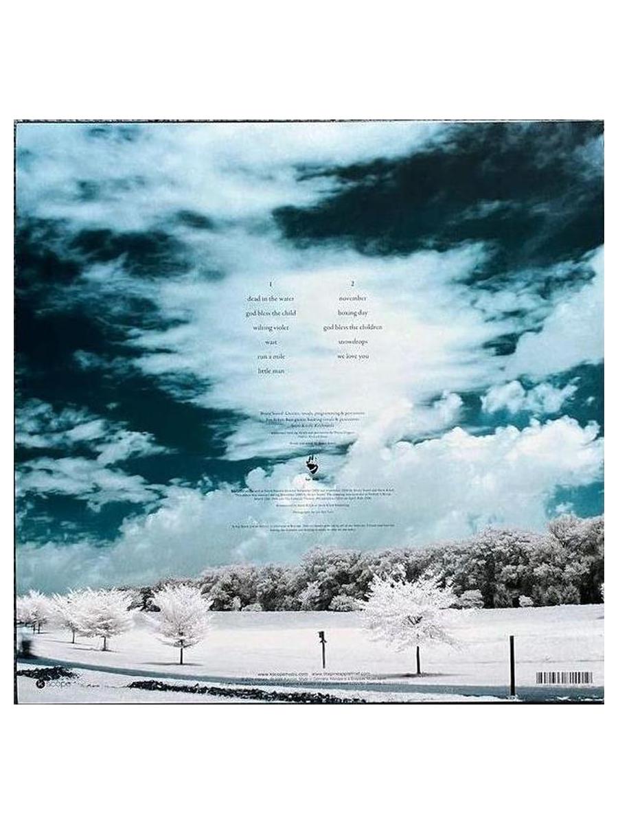 Виниловая пластинка The Pineapple Thief - Little Man (0802644814919) - фото 2