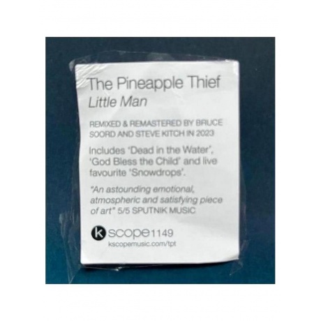 Виниловая пластинка The Pineapple Thief - Little Man (0802644814919) - фото 5