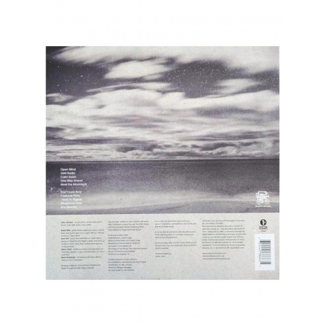 Виниловая пластинка Jack Johnson - Meet The Moonlight (0602445386635) - фото 4