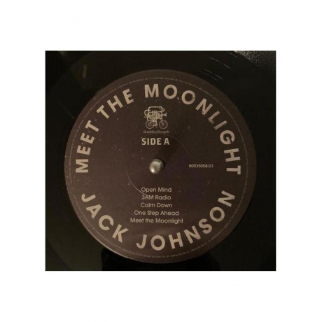 Виниловая пластинка Jack Johnson - Meet The Moonlight (0602445386635) - фото 5