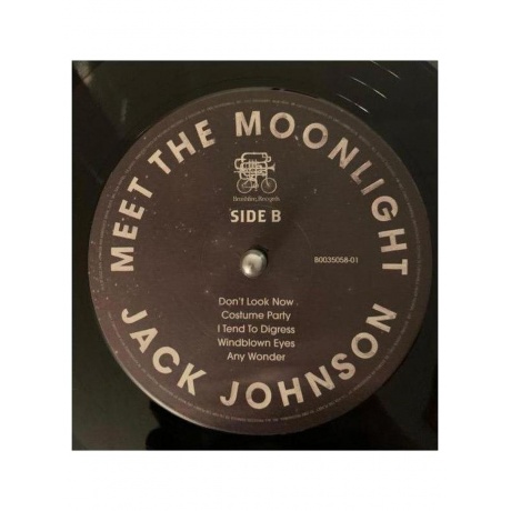 Виниловая пластинка Jack Johnson - Meet The Moonlight (0602445386635) - фото 6