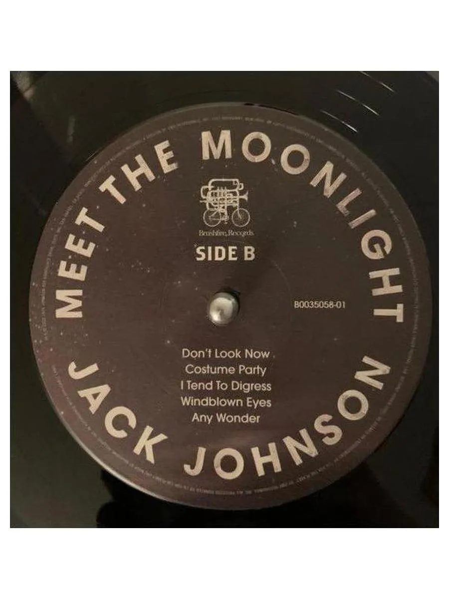Виниловая пластинка Jack Johnson - Meet The Moonlight (0602445386635) - фото 6