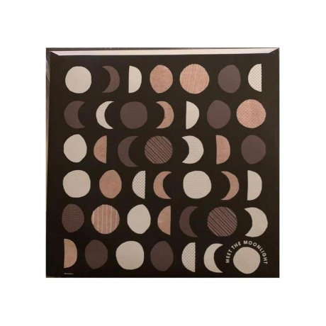 Виниловая пластинка Jack Johnson - Meet The Moonlight (0602445386635) - фото 7