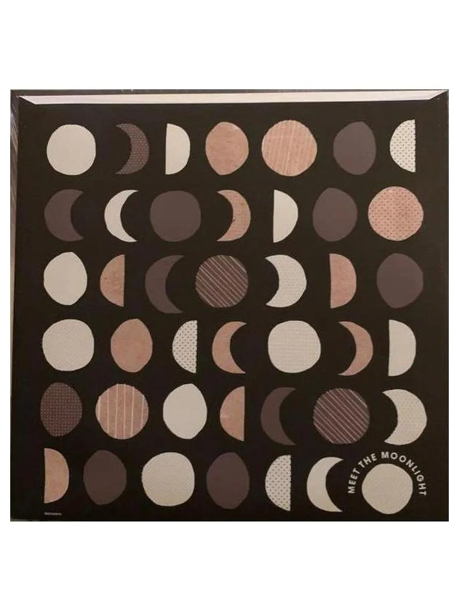 Виниловая пластинка Jack Johnson - Meet The Moonlight (0602445386635) - фото 7