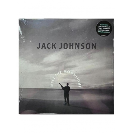 Виниловая пластинка Jack Johnson - Meet The Moonlight (0602445386635) - фото 10