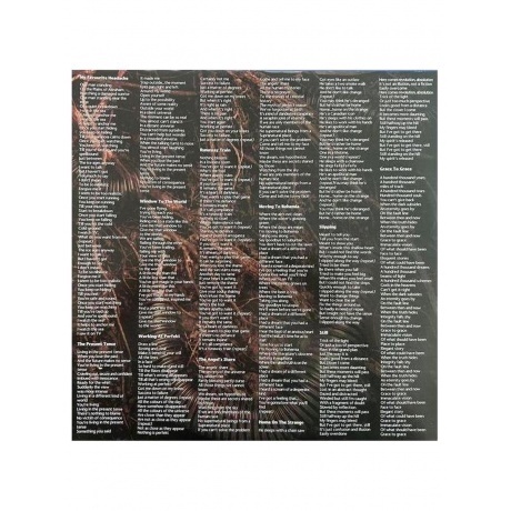 Geddy Lee - My Favourite Headache (coloured) (0603497823550) виниловая пластинка - фото 12