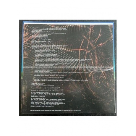 Geddy Lee - My Favourite Headache (coloured) (0603497823550) виниловая пластинка - фото 8