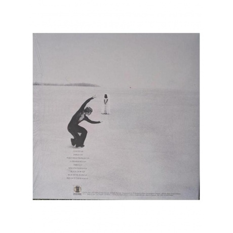 Joni Mitchell - Hejira (0603497826681) виниловая пластинка - фото 2