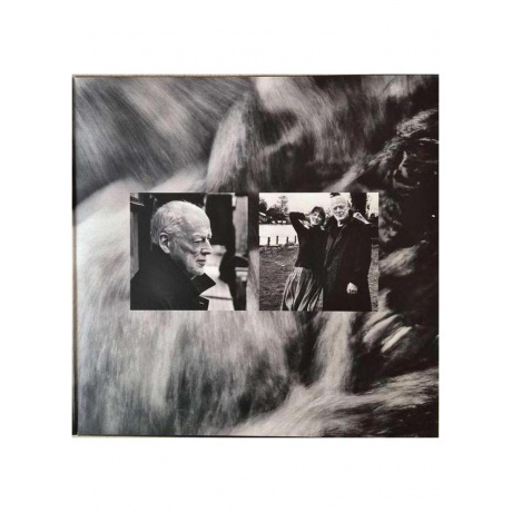 David Gilmour - Luck And Strange (0198028046114) виниловая пластинка - фото 2