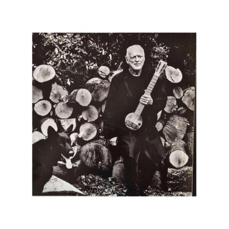 David Gilmour - Luck And Strange (0198028046114) виниловая пластинка - фото 11