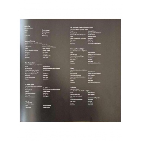 David Gilmour - Luck And Strange (0198028046114) виниловая пластинка - фото 12