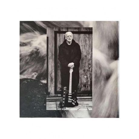 David Gilmour - Luck And Strange (0198028046114) виниловая пластинка - фото 3