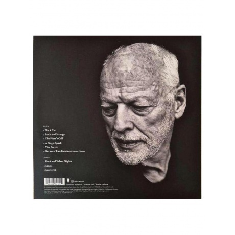 David Gilmour - Luck And Strange (0198028046114) виниловая пластинка - фото 4