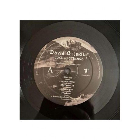 David Gilmour - Luck And Strange (0198028046114) виниловая пластинка - фото 5