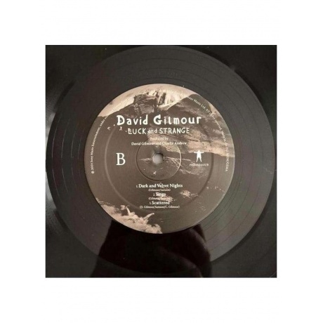 David Gilmour - Luck And Strange (0198028046114) виниловая пластинка - фото 6