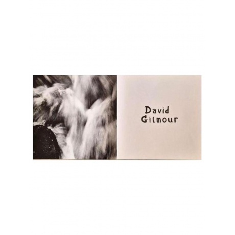 David Gilmour - Luck And Strange (0198028046114) виниловая пластинка - фото 8