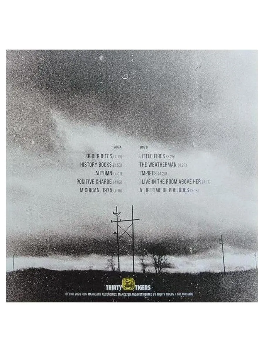 Виниловая пластинка The Gaslight Anthem - History Books (0691835754222) - фото 2