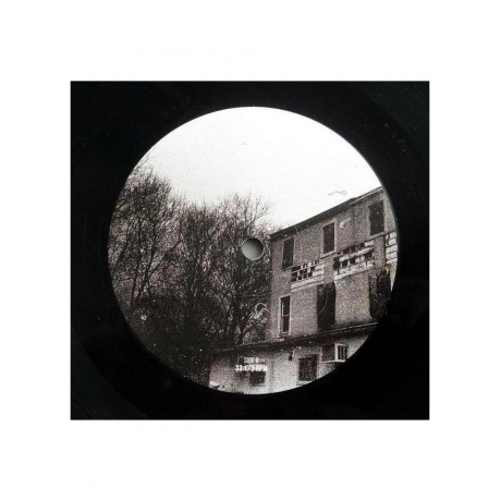 Виниловая пластинка The Gaslight Anthem - History Books (0691835754222) - фото 4