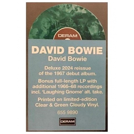 David Bowie - David Bowie (0602465598902) виниловая пластинка - фото 3