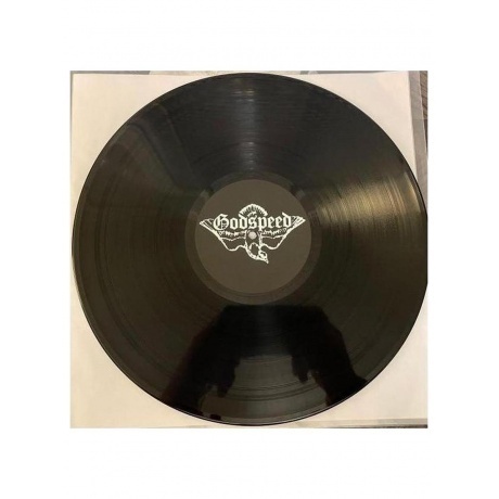 The Blessed Madonna - Godspeed (5054197441950) виниловая пластинка - фото 6