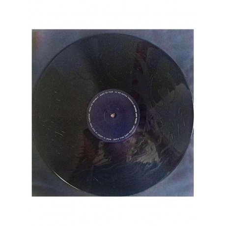 Dark Tranquillity - Endtime Signals (coloured) (0198028068819) виниловая пластинка - фото 13