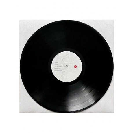 Пластинка виниловая  The National - Rome (0191400080119) - фото 12