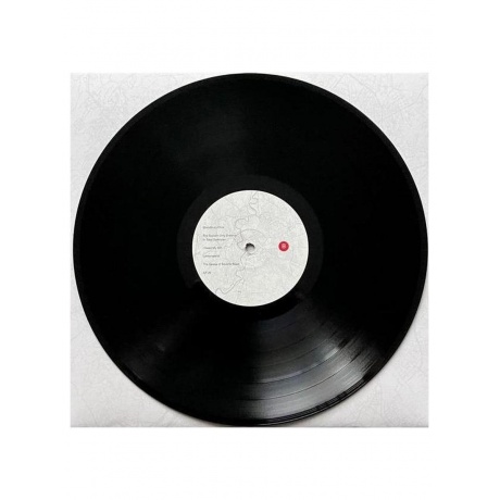 Пластинка виниловая  The National - Rome (0191400080119) - фото 13