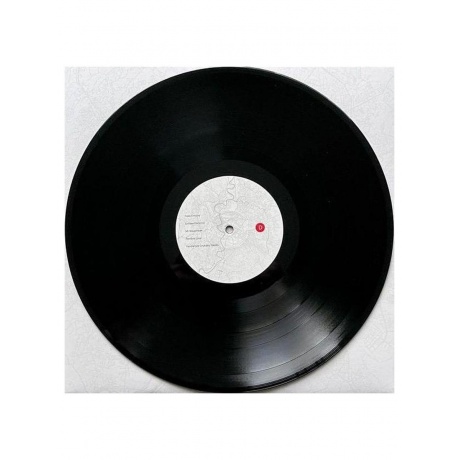 Пластинка виниловая  The National - Rome (0191400080119) - фото 15
