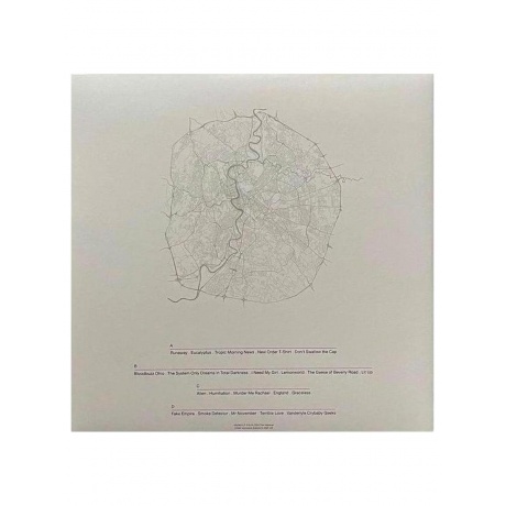 Пластинка виниловая  The National - Rome (0191400080119) - фото 5