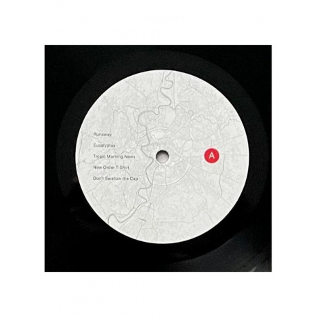 Пластинка виниловая  The National - Rome (0191400080119) - фото 6
