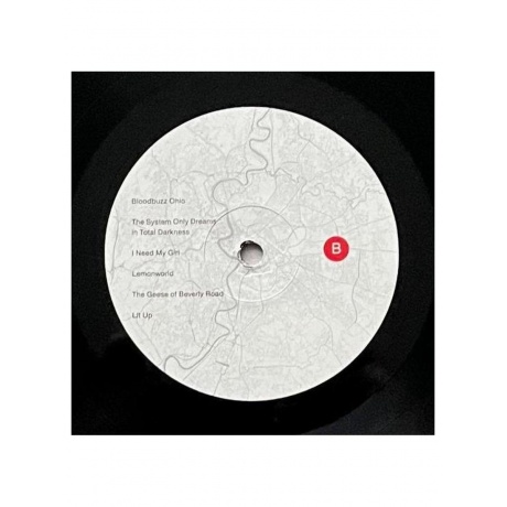 Пластинка виниловая  The National - Rome (0191400080119) - фото 7