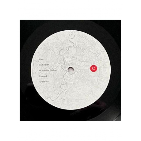 Пластинка виниловая  The National - Rome (0191400080119) - фото 8