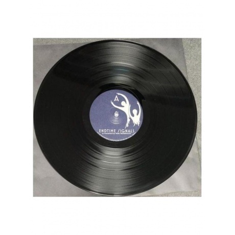 Dark Tranquillity - Endtime Signals (0198028069113) виниловая пластинка - фото 3