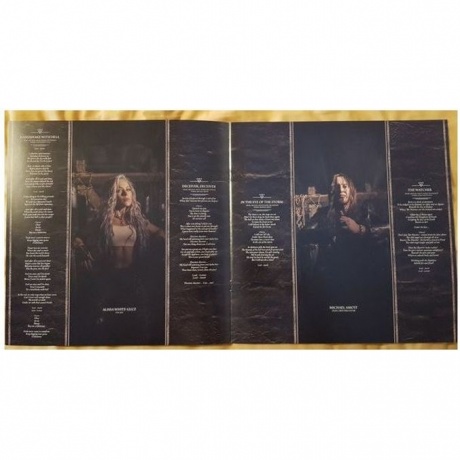 Arch Enemy - Deceivers (0194399503218) виниловая пластинка - фото 4