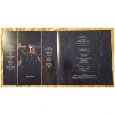 Arch Enemy - Deceivers (0194399503218) виниловая пластинка - фото 6