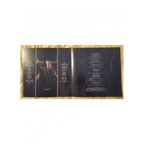 Пластинка виниловая  Arch Enemy - Deceivers (0194399503218) - фото 6