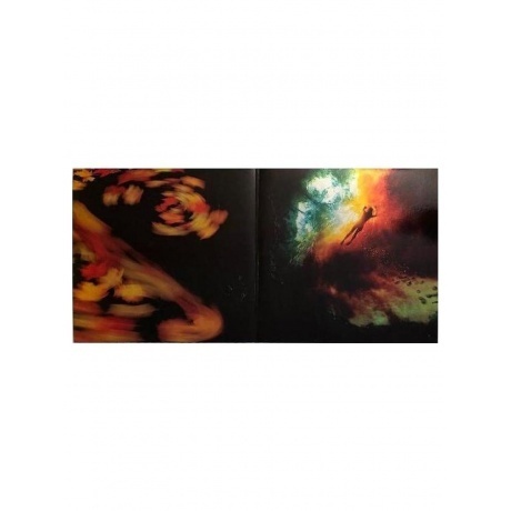 Animal Collective - Merriweather Post Pavilion (coloured) (0887828021635) виниловая пластинка - фото 2