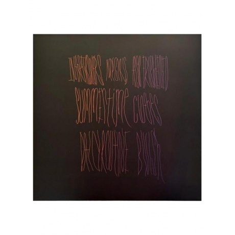 Animal Collective - Merriweather Post Pavilion (coloured) (0887828021635) виниловая пластинка - фото 3