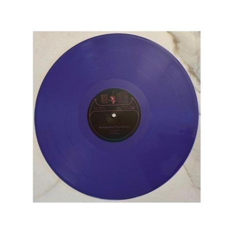 Animal Collective - Merriweather Post Pavilion (coloured) (0887828021635) виниловая пластинка - фото 4