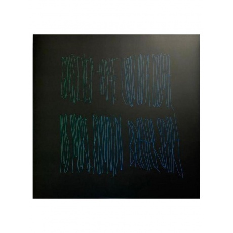 Animal Collective - Merriweather Post Pavilion (coloured) (0887828021635) виниловая пластинка - фото 6