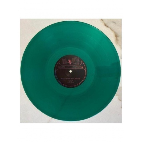 Animal Collective - Merriweather Post Pavilion (coloured) (0887828021635) виниловая пластинка - фото 7