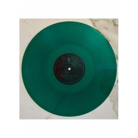 Animal Collective - Merriweather Post Pavilion (coloured) (0887828021635) виниловая пластинка - фото 8