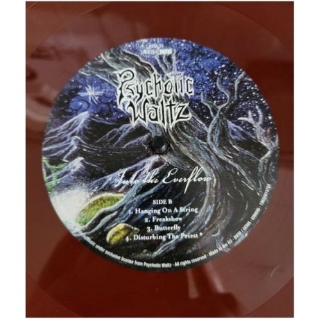 Psychotic Waltz - Mosquito (coloured) (0196588157714) виниловая пластинка - фото 7