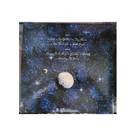 Psychotic Waltz - Into The Everflow (coloured) (0196588157516) виниловая пластинка - фото 2