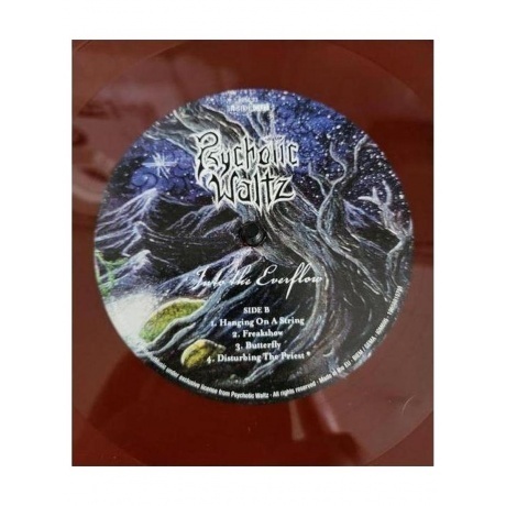 Psychotic Waltz - Into The Everflow (coloured) (0196588157516) виниловая пластинка - фото 3