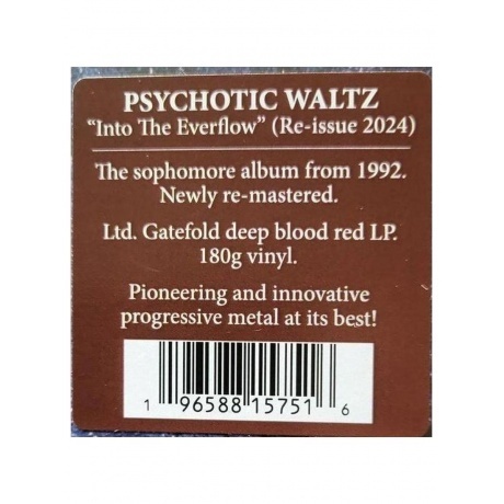 Psychotic Waltz - Into The Everflow (coloured) (0196588157516) виниловая пластинка - фото 4