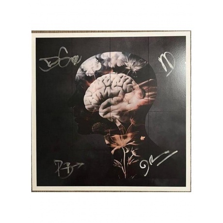 Archive - Controlling Crowds I-III (5400863161422) виниловая пластинка - фото 9